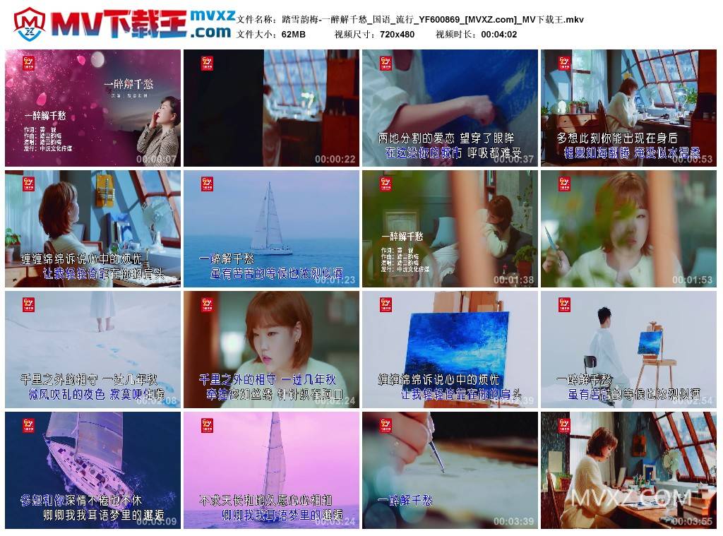 踏雪韵梅-一醉解千愁_国语_流行_YF600869